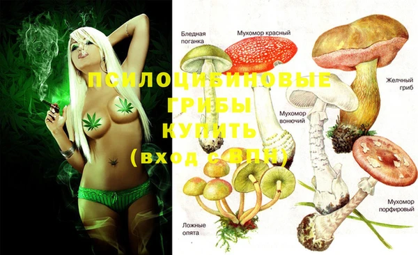 бутират Лабытнанги