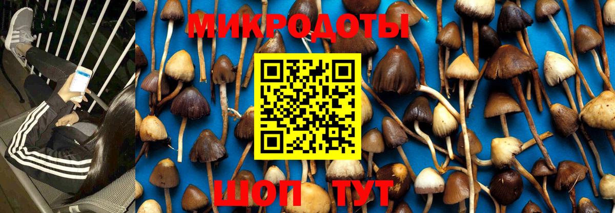 Псилоцибиновые грибы Psilocybine cubensis  Вход с VPN  Ижевск  Псилоцибиновые грибы прущие грибы 