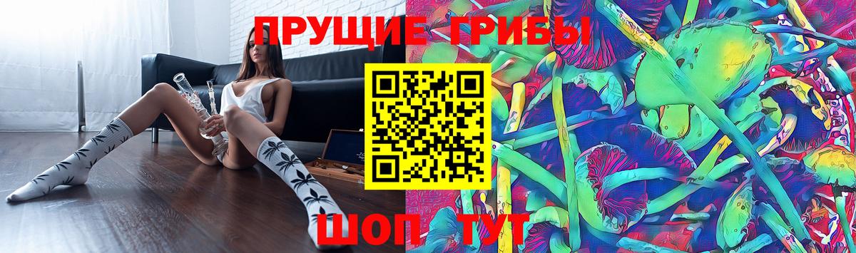 Псилоцибиновые грибы Cubensis Ижевск