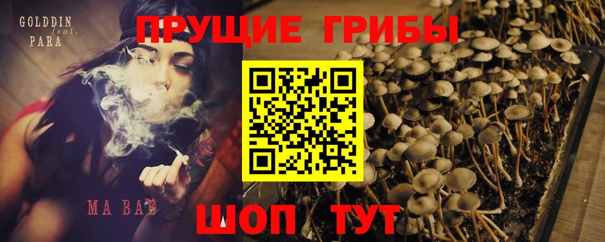 Псилоцибиновые грибы ЛСД Ижевск