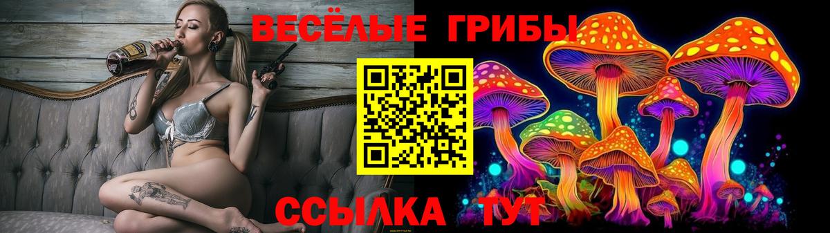 Галлюциногенные грибы прущие грибы  Галлюциногенные грибы мицелий  Вход с VPN  Ижевск 